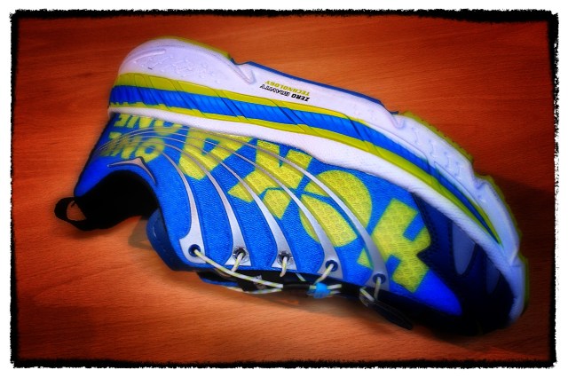 Stunning looks and colours !